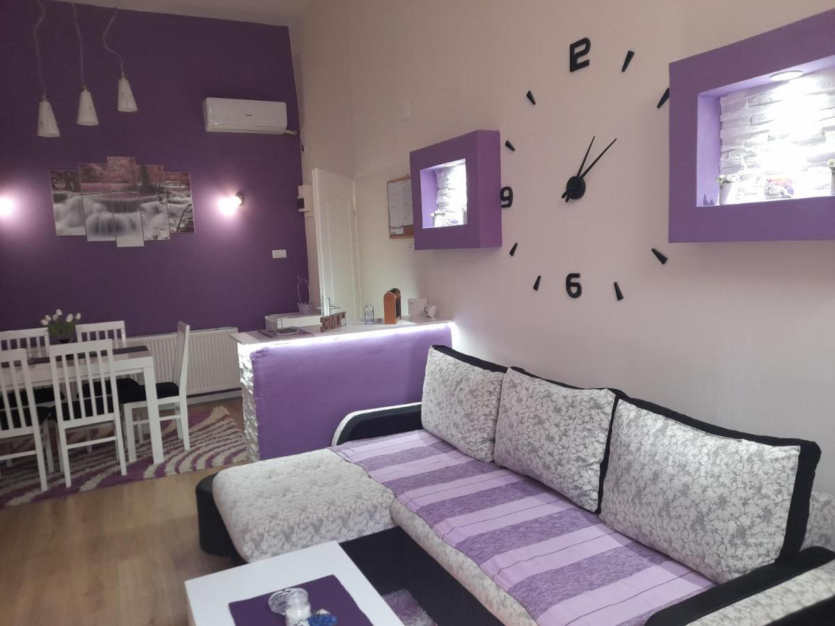 Apartman Lela Vrsac Exterior foto