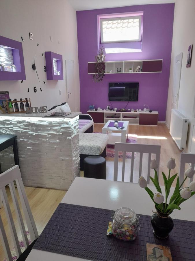 Apartman Lela Vrsac Exterior foto