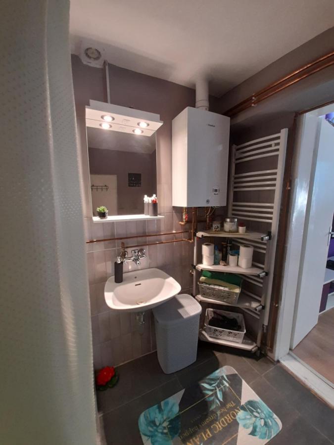 Apartman Lela Vrsac Exterior foto
