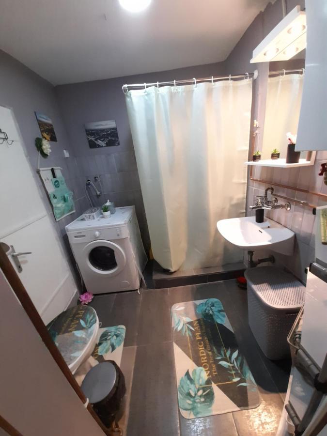 Apartman Lela Vrsac Exterior foto