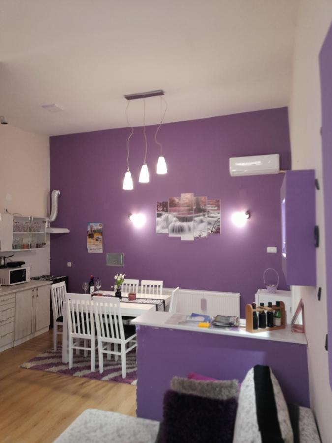 Apartman Lela Vrsac Exterior foto