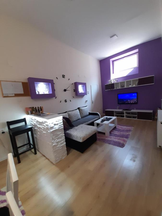 Apartman Lela Vrsac Exterior foto